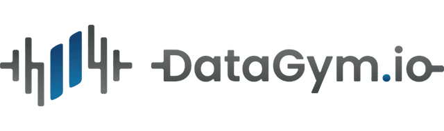 datagym.techexpert.io logo